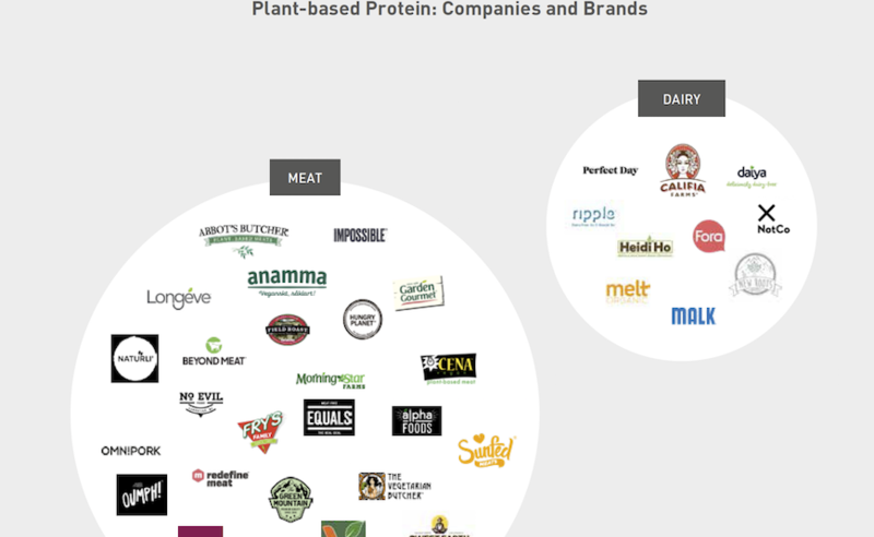 Plant based protein: companies and brands